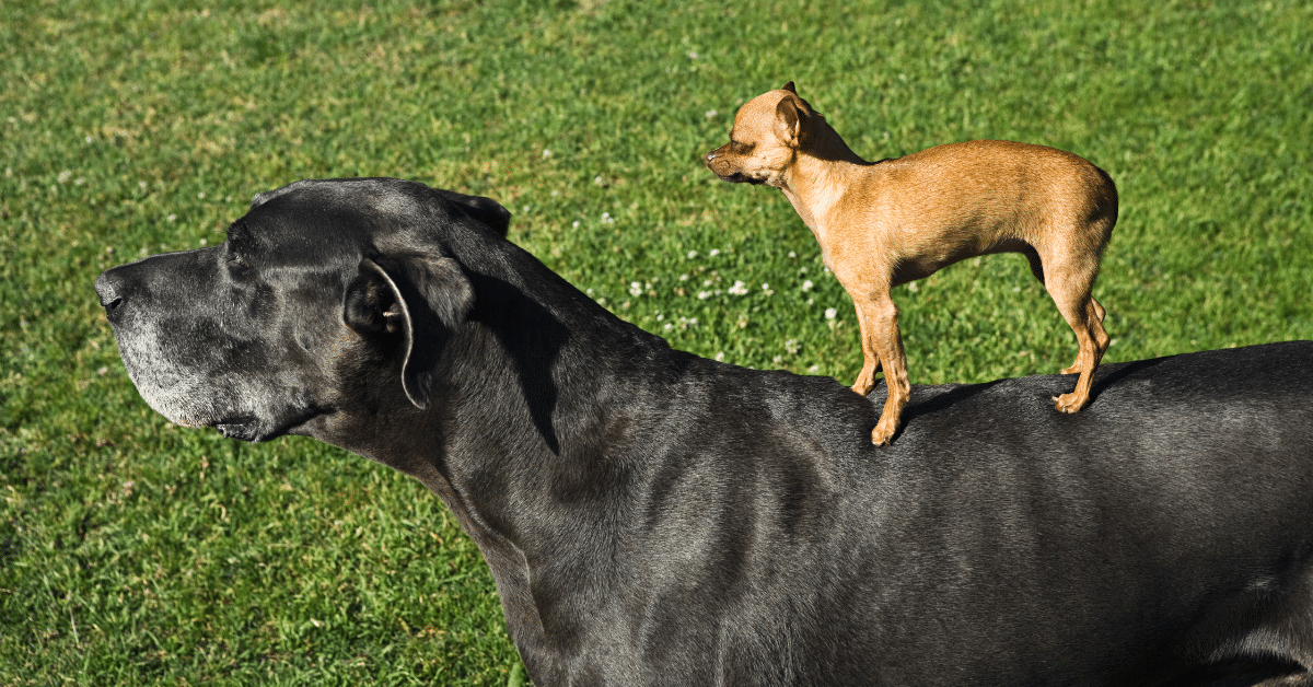 5 tips for mentoring success (from those who’ve been there!)