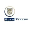 Logo of Gold Fields