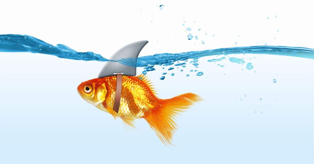 ‘Fake it til you make it,’ and other terrible leadership advice