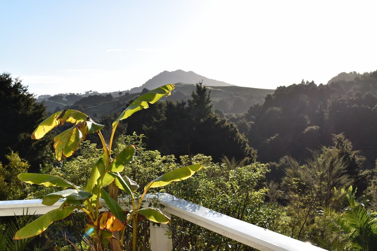 A typical work day (from the other side of the world)