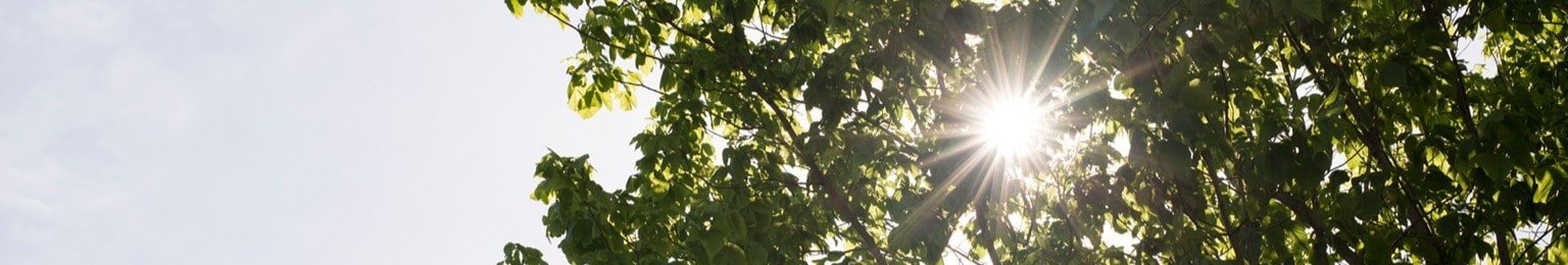 Imagery of Southern Metropolitan Cemeteries Trust