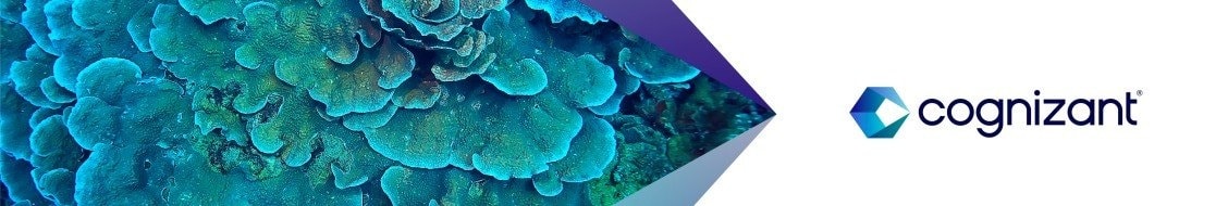 Imagery of Cognizant