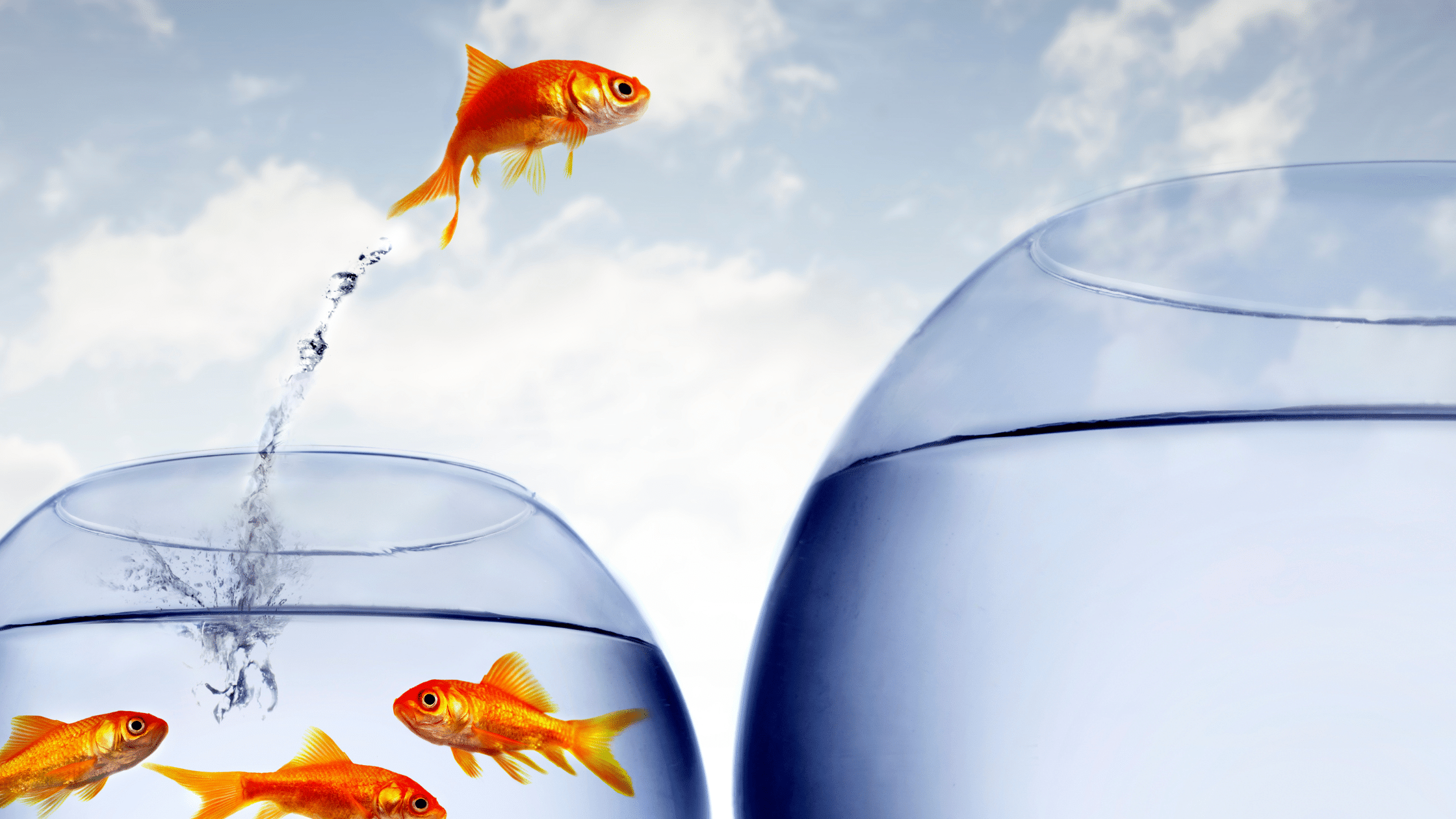 How to make a bold career pivot stick: 8 women spill their secrets to success