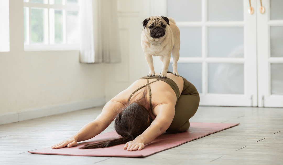 5 Organisations setting the standard for workplace flexibility