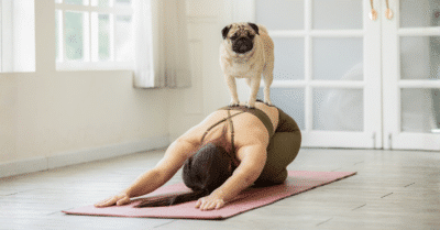 5 Organisations setting the standard for workplace flexibility